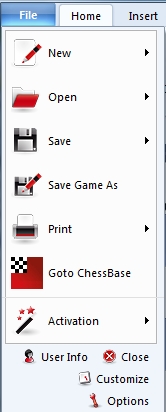 File Menu