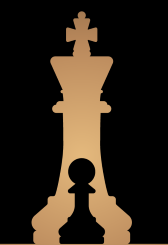Fritz 19